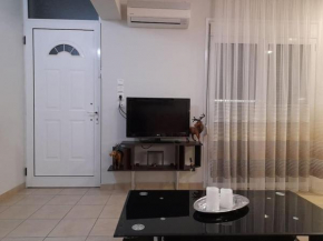 NASDIG HOME